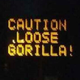 Illustration for article titled Is A Gorilla Loose In Texas?